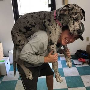 Meet your Posher, Johnny